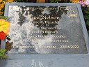 Nelson, Nigel (id=6908)